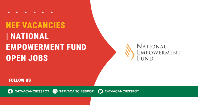 National Empowerment Fund (NEF) Vacancies – Growth Opportunities in Gauteng and Beyond
